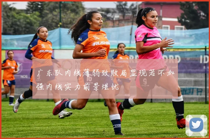 广东队内线薄弱致败局显现若不加强内线实力前景堪忧