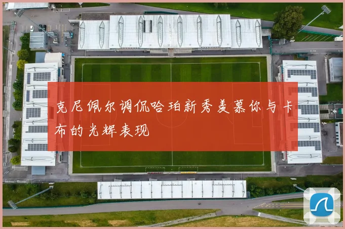 克尼佩尔调侃哈珀新秀羡慕你与卡布的光辉表现