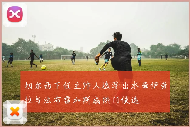 切尔西下任主帅人选浮出水面伊劳拉与法布雷加斯成热门候选